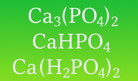Calcium Phosphates